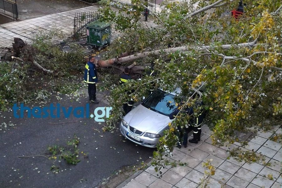 Πτώσεις δέντρων λόγων των ισχυρών ανέμων στη Θεσσαλονίκη
